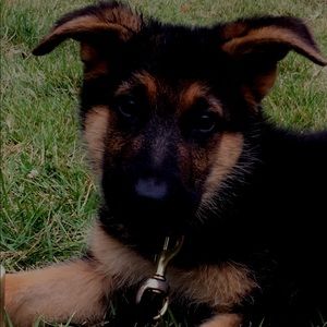 Meet your Posher, Hannah